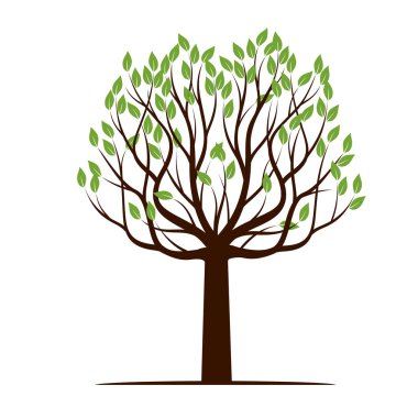 Yapraklı yeşil ağaç. vektör illüstrasyonu.
