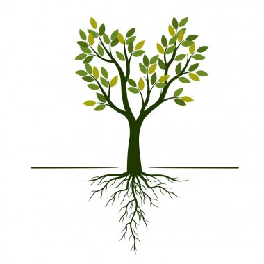 Yeşil ağaç yaprakları ve kökleri ile. Vektör çizim.