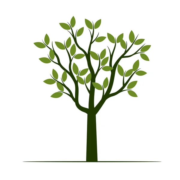 Definir árvores verdes com folhas. Ilustração vetorial . —  Vetores de Stock