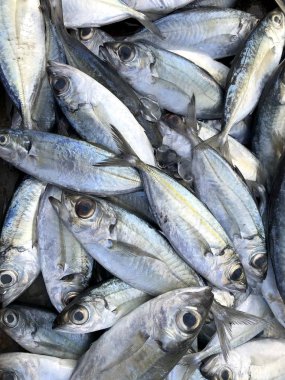 Taze balık pazarında buz koymak. Phuket Tayland.