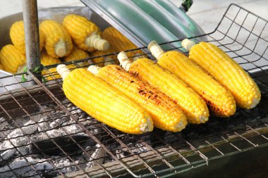 Sarı mısır ızgara kavrulmuş. Tayland semt pazarı.