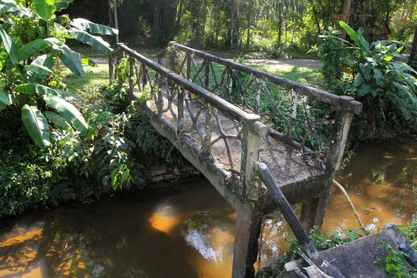 Antiguo puente histórico en Tailandia. Parque Natural y Bosque . —  Fotos de Stock