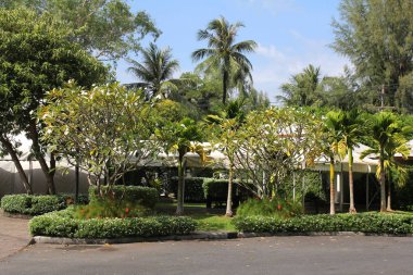 Yaz günü güzel bahçe. Köşk ve özellik. Phuket Tayland