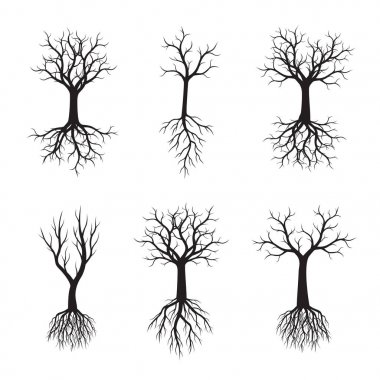 Siyah ağaçlar kökleri ile kümesi. Vektör çizim.