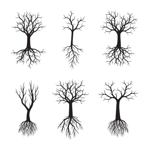 Set of Black Trees with Roots. Vector Illustration. — Stock Vector