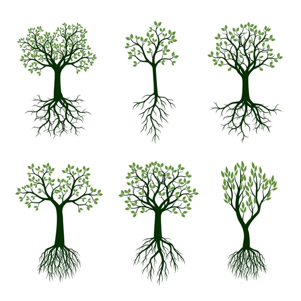 Conjunto de árboles de primavera verde con hojas y raíces. Ilustración vectorial — Vector de stock