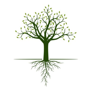 Yeşil ağaç yaprakları ve kökleri ile. Vektör çizim ve grafik