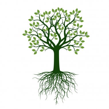 Yeşil ağaç yaprakları ve kökleri ile. Vektör çizim ve grafik