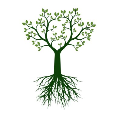 Yapraklı yeşil ağaç. vektör illüstrasyonu.