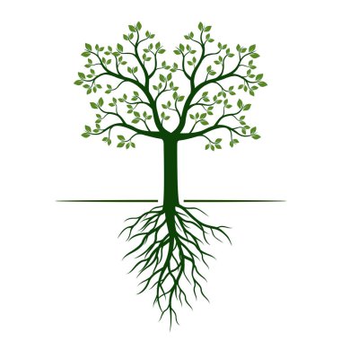 Yeşil ağaç yaprakları ve kökleri ile. Vektör çizim ve grafik