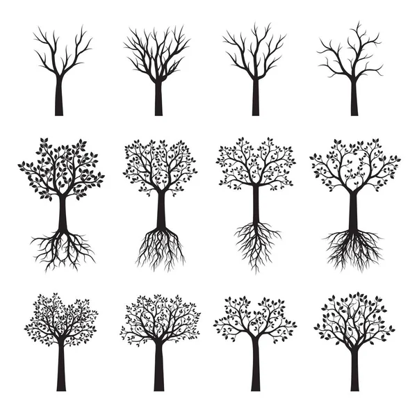 Siyah ağaçlar yapraklarla ayarlayın. Vektör çizim. — Stok Vektör