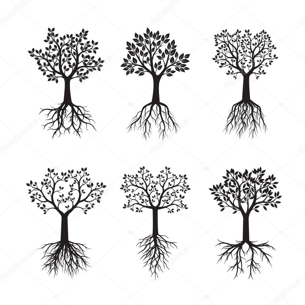Set of black Trees with Leaves and Roots. Vector Illustration.