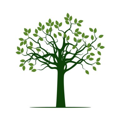 Yapraklı yeşil ağaç. vektör illüstrasyonu.