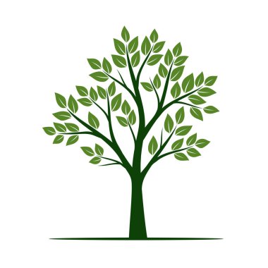 Yapraklı yeşil ağaç. vektör illüstrasyonu.