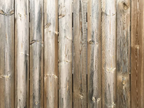 Fenyő fa fal. Textúra és a háttér. — Stock Fotó