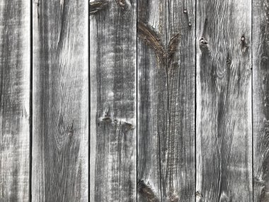 Doku eski ahşap kurulu. Doğal arka plan ve ayrıntıları.