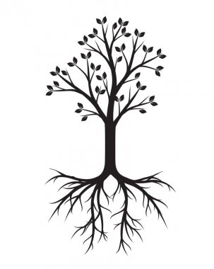 Siyah ağaç kökleri ile. Vektör çizim ve grafik tasarım