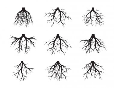 Siyah kökleri ağaç kümesi. Vektör çizim.