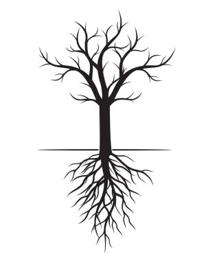 Siyah çıplak Ağaç kökleri ile. Vektör çizim ve grafik