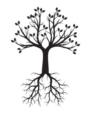 Siyah ağaç kökleri ile. Vektör çizim ve grafik elemanı