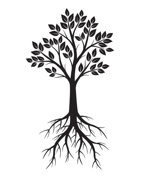 Árbol negro con raíces. Ilustración vectorial y elemento gráfico — Vector de stock