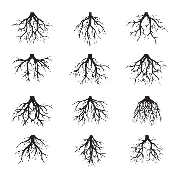 Μεγάλο σετ μαύρο ρίζες δέντρων. Εικονογράφηση διάνυσμα. — Διανυσματικό Αρχείο