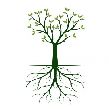 Yeşil ağaç kök ile. Vektör çizim.
