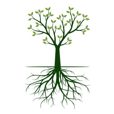 Yeşil ağaç kök ile. Vektör çizim.