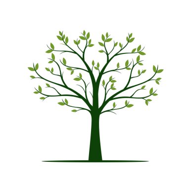 Yapraklı yeşil ağaç. vektör illüstrasyonu.