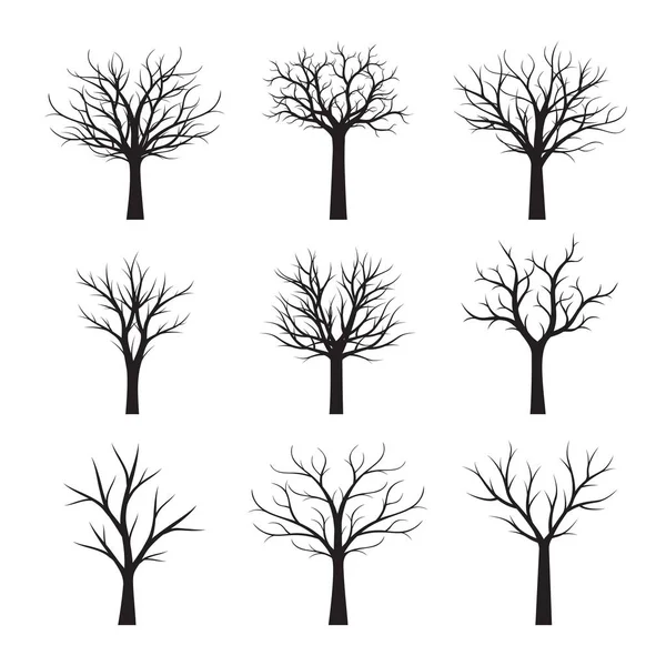 Σετ μαύρη γυμνή δέντρα χωρίς φύλλα. Εικονογράφηση διάνυσμα. — Διανυσματικό Αρχείο