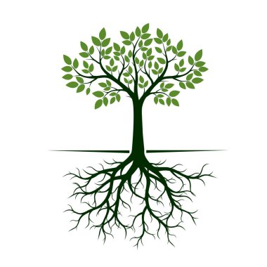 Yeşil ağaç kökleri ile. Vektör çizim.