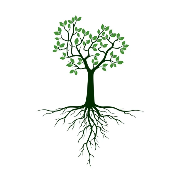 Arbre vert avec des racines. Illustration vectorielle . — Image vectorielle