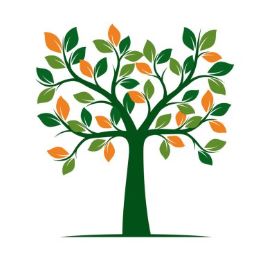 Yeşil bahar ağacı. vektör çizim.