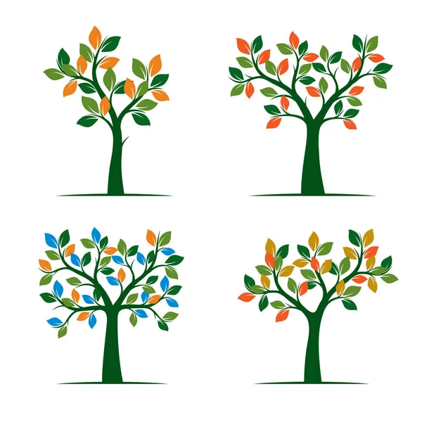 Ensemble de couleur Spring Tree. Illustration vectorielle . — Image vectorielle