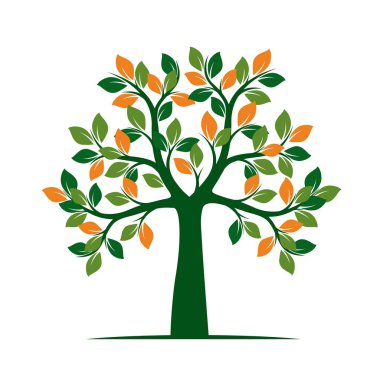 Yeşil bahar ağacı. vektör çizim.