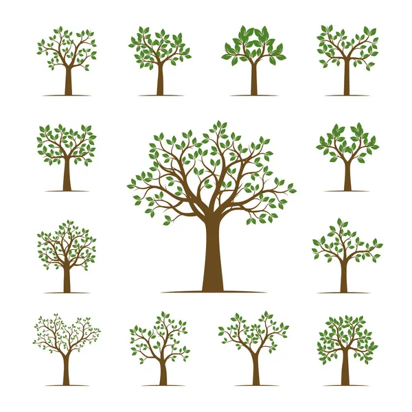 Set van groene bomen met bladeren. Vectorillustratie. — Stockvector