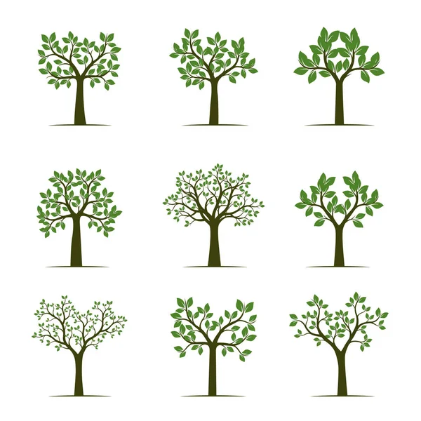 Ensemble d'arbres verts avec feuilles. Illustration vectorielle . — Image vectorielle