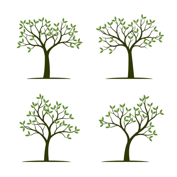 Reihe grüner Bäume mit Blättern. Vektorillustration. — Stockvektor