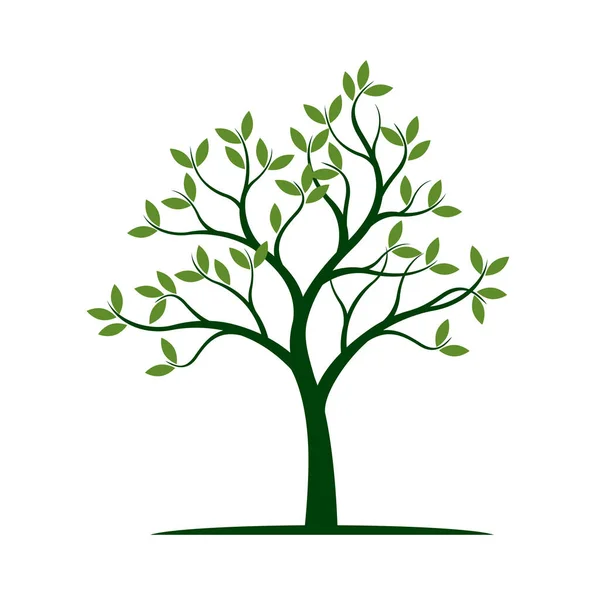 Árbol de primavera verde. Ilustración vectorial . — Vector de stock