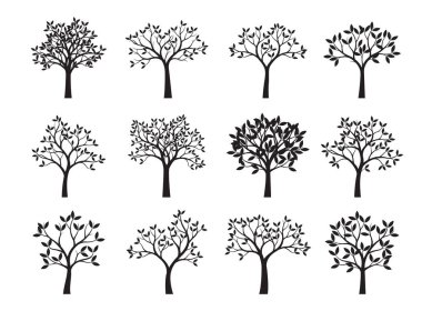 Siyah ağaçlar yapraklarla kümesi. Vektör çizim.