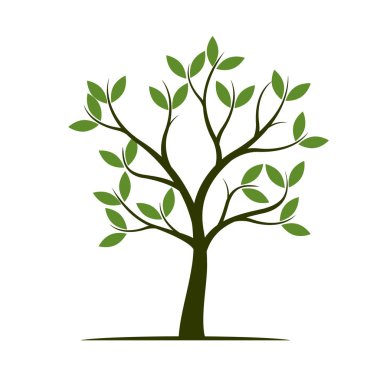 Yeşil bahar ağacı. vektör çizim.