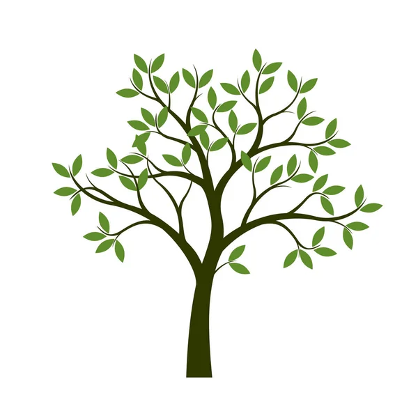 Зеленое весеннее дерево. Векторная иллюстрация . — стоковый вектор