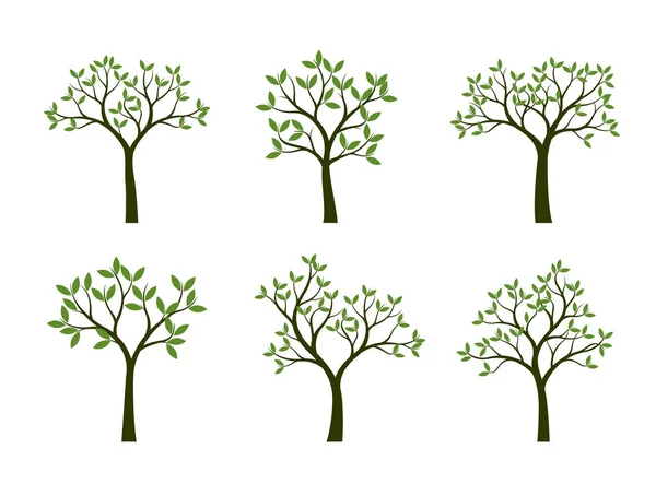 Set van groene bomen met bladeren. Vectorillustratie. — Stockvector