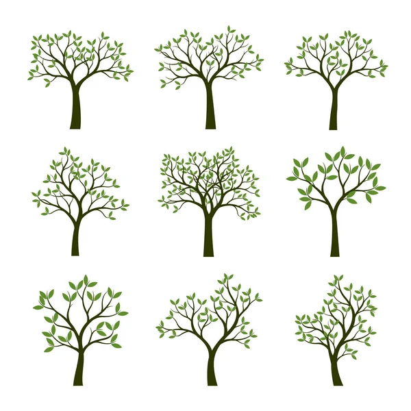 Set van groene bomen met bladeren. Vectorillustratie. — Stockvector