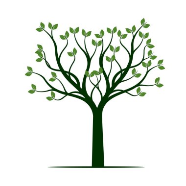 Yeşil bahar ağacı. vektör çizim.