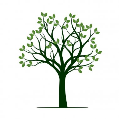 Yeşil bahar ağacı. vektör çizim.