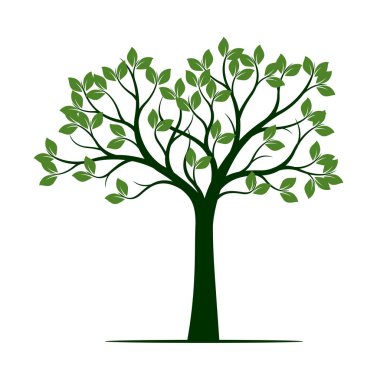 Yeşil bahar ağacı. vektör çizim.