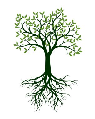 Yeşil ağaç yaprakları ve kökü ile. Vektör çizim.