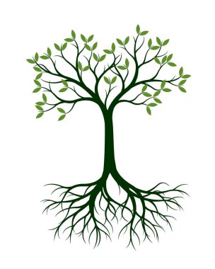 Yeşil ağaç yaprakları ve kökleri ile. Vektör çizim.