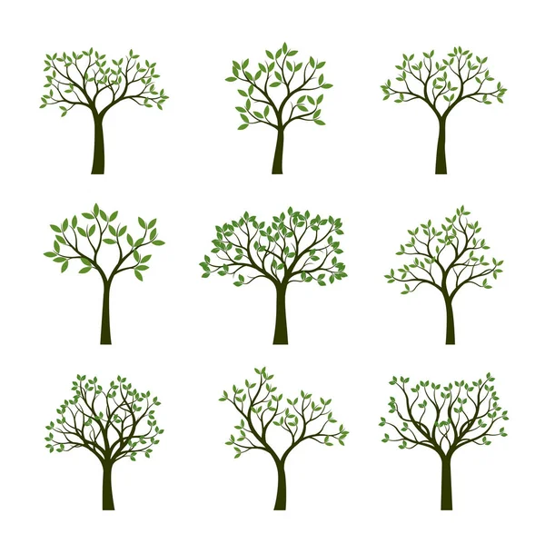 Ensemble d'arbres verts avec feuilles. Illustration vectorielle . — Image vectorielle